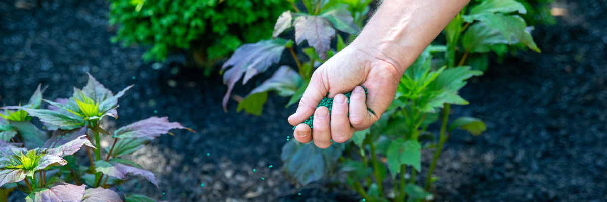 hand sprinkling POLYON